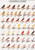 Color Canaries 2 27 X 38 1/2