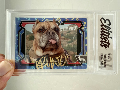 Bruno