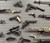 Gun Wall Display System