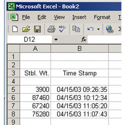 Detecto Dynamic Data Exchange Software WIN-DDE