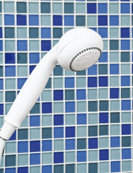 Graham Field Everyday Hand Held Shower Head (12040)