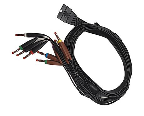 10-Wire Patient Cable Banana Plug AHA (2.400331)