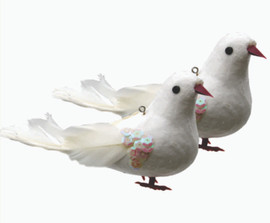 Noy Sukkah, Hanging 2 Dove, Bird