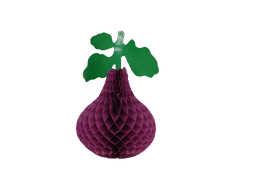 Noy Sukkah, Hanging Plastic Fig