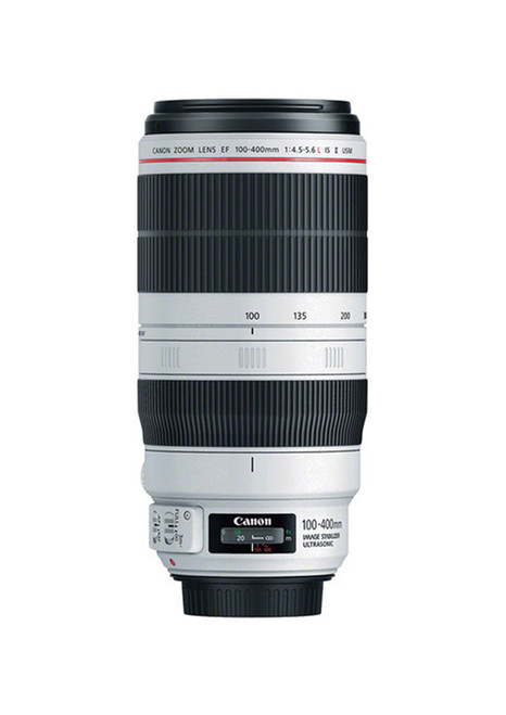 booq Mamba Saddle Lorem Ipsum is simply 