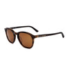 Calvin Klein Men Sunglasses, Brown (125086)