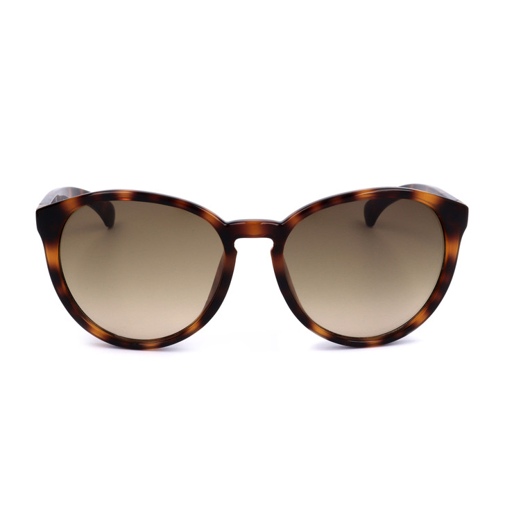 Calvin Klein Women Sunglasses, Brown (125106)
