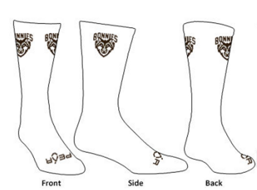 SBU Shield Crew Sock-White