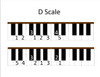 D Scale page