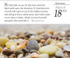 Verse for the Day - 2023 Daily Bible Calendar, 365 Pages with KJV Scripture
