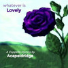 Whatever Is... CD/MP3 Set of 8 by Acapeldridge