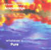 Whatever Is... CD/MP3 Set of 8 by Acapeldridge