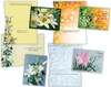 KJV Boxed Cards -Sympathy, Lilies 