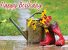 KJV Boxed Cards -Birthday, Garden Blooms