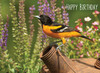 KJV Boxed Cards -Birthday, Backyard Birds