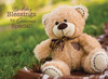 KJV Boxed Cards -Birthday, Teddy Bears
