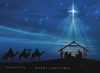 KJV Boxed Cards - Christmas, Peace on Earth by Shared Blessings