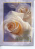 KJV Boxed Cards - Sympathy, Roses by Heartwarming Thoughts