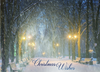 KJV Boxed Cards - Christmas, Beauty Of The Season by Shared Blessings