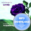 Whatever Is... MP3 Set of 8 Albums by Acapeldridge
