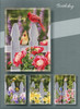 KJV Boxed Cards - Birthday, Backyard Beauties by Heartwarming Thoughts
