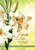 KJV Boxed Cards - Easter, Resurrection Blessings by Christian Art Greetings