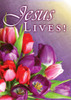 KJV Boxed Cards - Easter, Hope of Easter by Christian Art Greetings