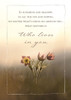KJV Boxed Cards - Empathy, Perfect Peace by Christian Art Greetings