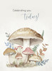 KJV Boxed Cards - Birthday, Mushrooms by Heartwarming Thoughts