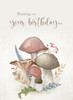 KJV Boxed Cards - Birthday, Mushrooms by Heartwarming Thoughts