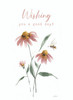 KJV Boxed Cards - Thinking of You, Cheerful Blooms by Heartwarming Thoughts