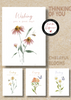KJV Boxed Cards - Thinking of You, Cheerful Blooms by Heartwarming Thoughts