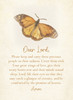 KJV Boxed Cards - Sympathy, Butterfly Prayers  by Heartwarming Thoughts