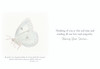 KJV Boxed Cards - Sympathy, Butterfly Prayers  by Heartwarming Thoughts