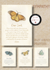 KJV Boxed Cards - Sympathy, Butterfly Prayers  by Heartwarming Thoughts