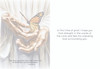KJV Boxed Cards - Sympathy, The Master's Hand  by Heartwarming Thoughts
