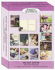 KJV Boxed Cards - Secret Sister, Heartfelt Moments by Shared Blessings