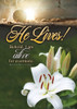 KJV Boxed Cards - Easter, New Life by Christian Art Greetings