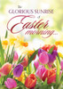 KJV Boxed Cards - Easter, New Life by Christian Art Greetings