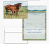 KJV Boxed Cards - Cumpleanos, Dios te Celebra (Birthday, God Celebrates You SPANISH) by Shared Blessings