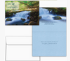 KJV Boxed Cards - Cumpleanos, Dios te Celebra (Birthday, God Celebrates You SPANISH) by Shared Blessings