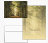 KJV Boxed Cards - Cumpleanos, Dios te Celebra (Birthday, God Celebrates You SPANISH) by Shared Blessings