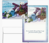 KJV Boxed Cards - Orando Por Ti, Bendiciones en Oracion (Praying for You, Blessings in Prayer SPANISH) by Shared Blessings