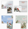 KJV Boxed Cards - Christmas, Winter Birds II by Shared Blessings