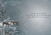 KJV Boxed Cards - Christmas, Winter's Glow by Shared Blessings