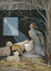 KJV Boxed Cards - Christmas, Holy Night by Shared Blessings