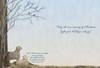 KJV Boxed Cards - Christmas, Holy Night by Shared Blessings