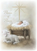 KJV Boxed Cards - Christmas, Prince of Peace by Heartwarming Thoughts