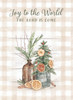 KJV Boxed Cards - Christmas, Christmas Spice by Heartwarming Thoughts