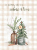 KJV Boxed Cards - Christmas, Christmas Spice by Heartwarming Thoughts